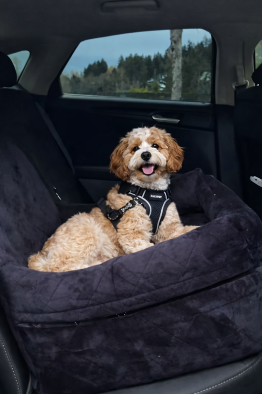 SafeRide Dog Seat / Hundesitz